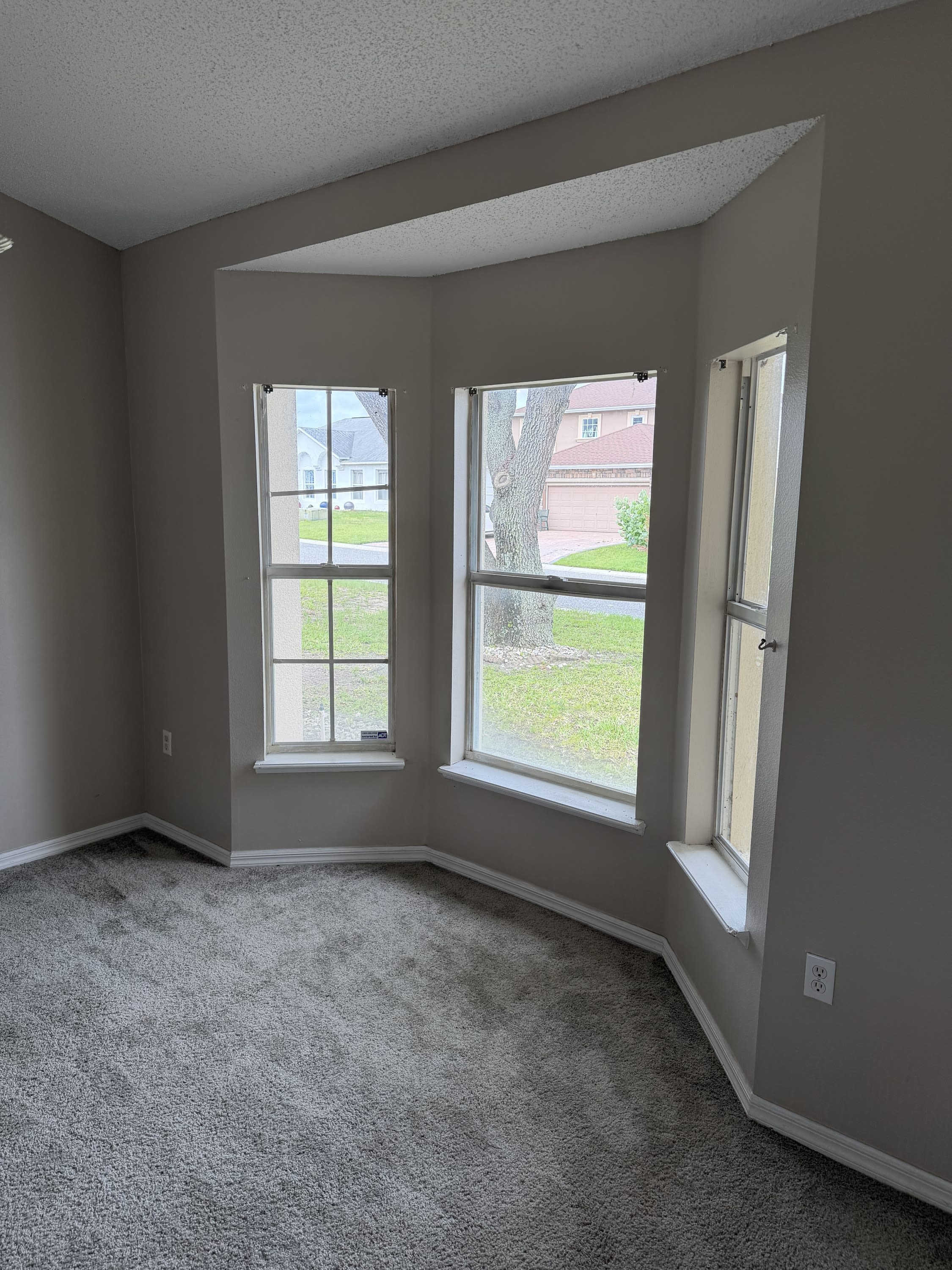 255 Lobelia Drive – photo 3