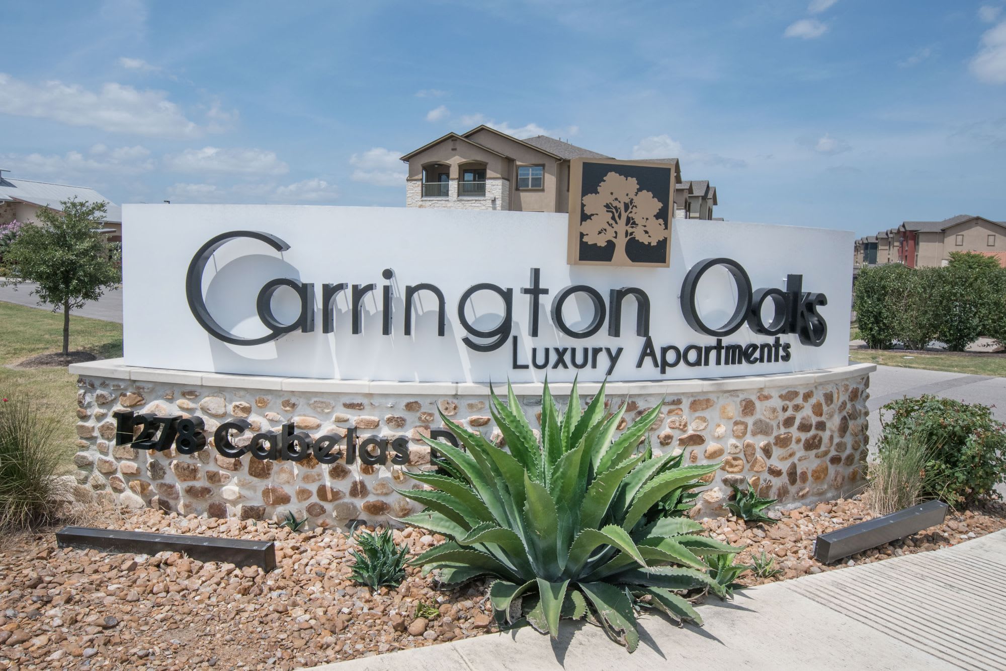 Carrington Oaks – photo 3