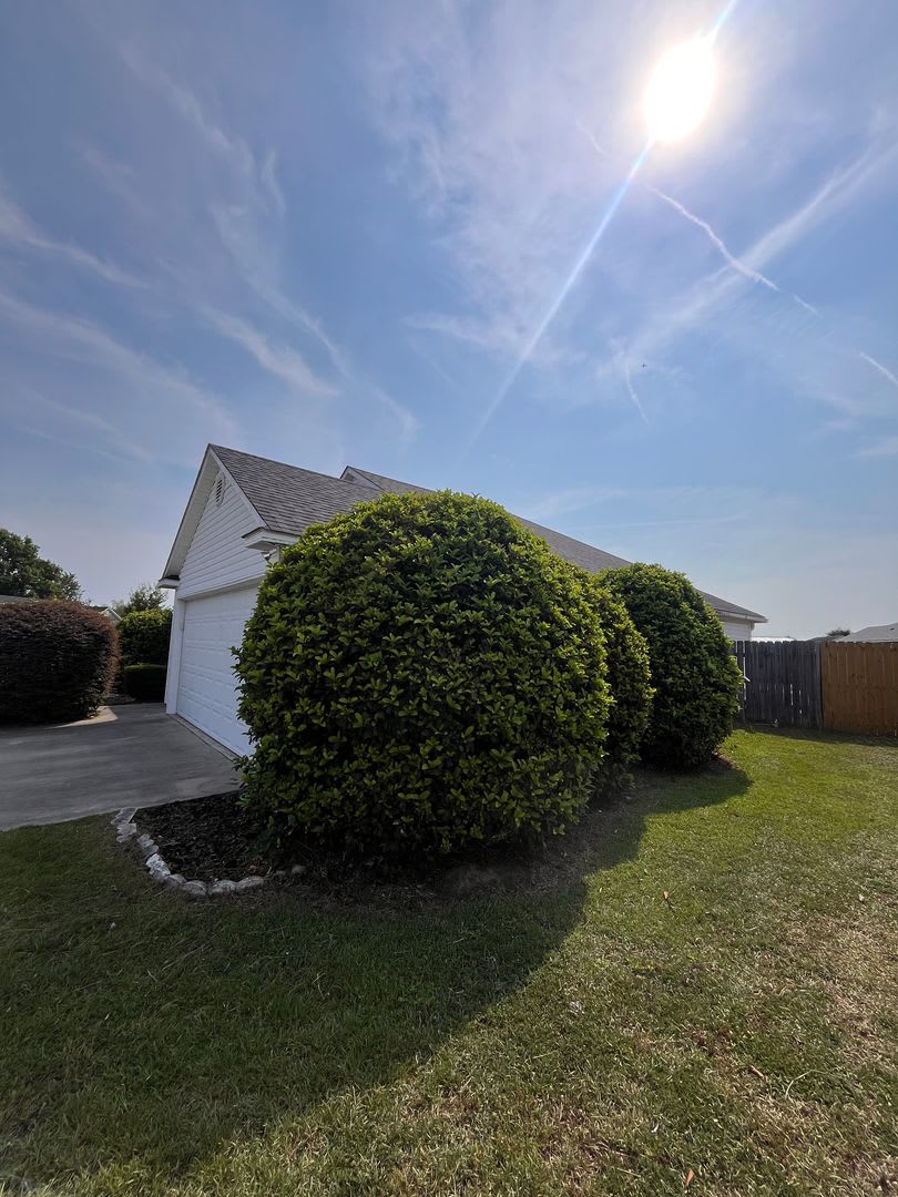 Branch Point S D Home – photo 3
