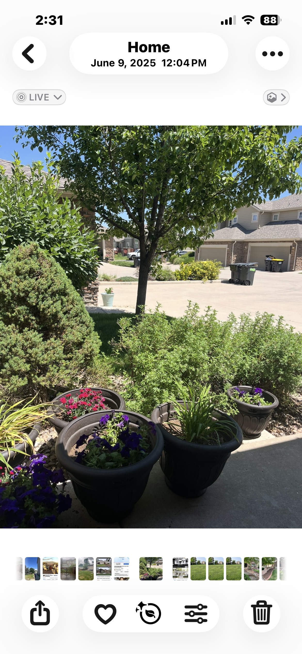 7609 South Quatar Way – photo 3