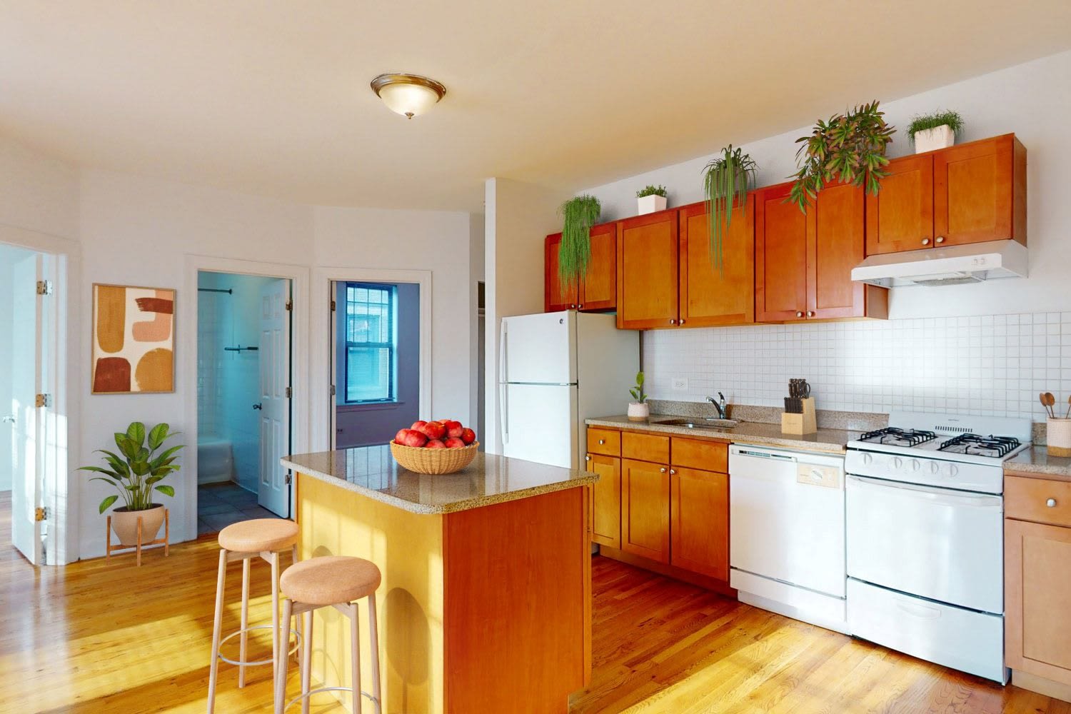 Woodlawn Court – photo 1