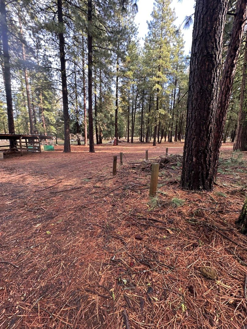 18515 Freight Rd Ln – photo 2