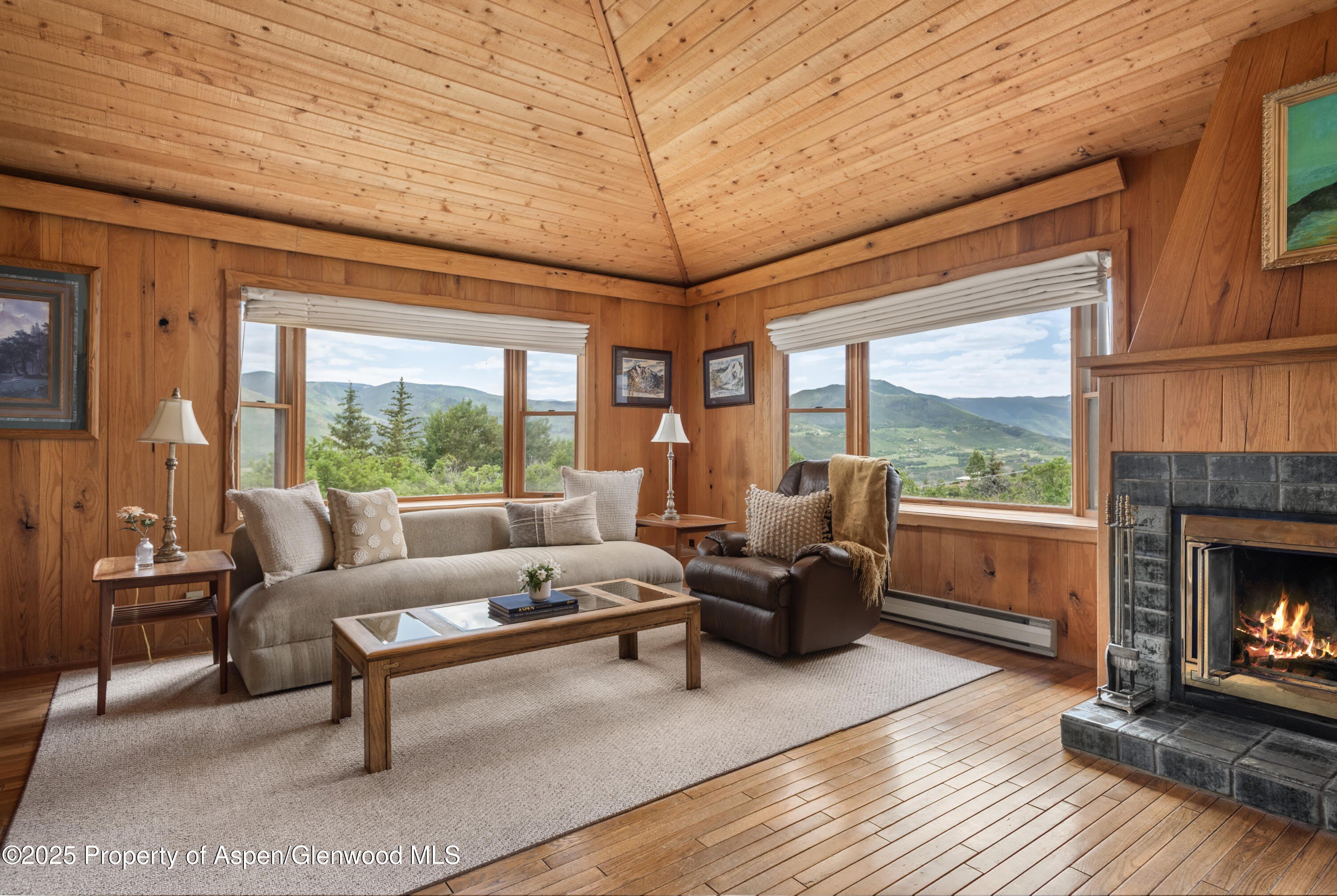 2020 Juniper Hill Drive – photo 2
