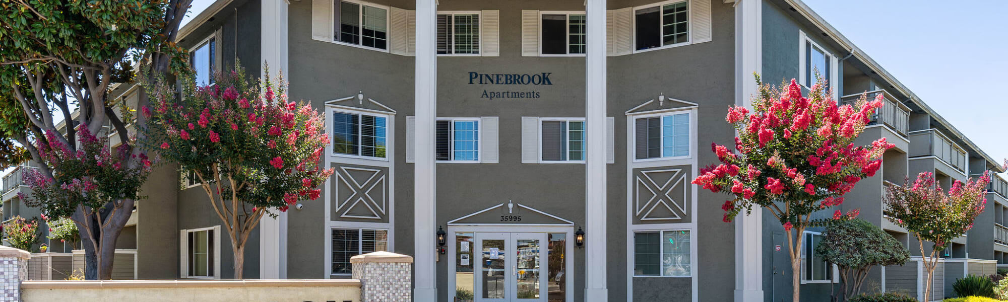 Pinebrook Apartments – photo 4