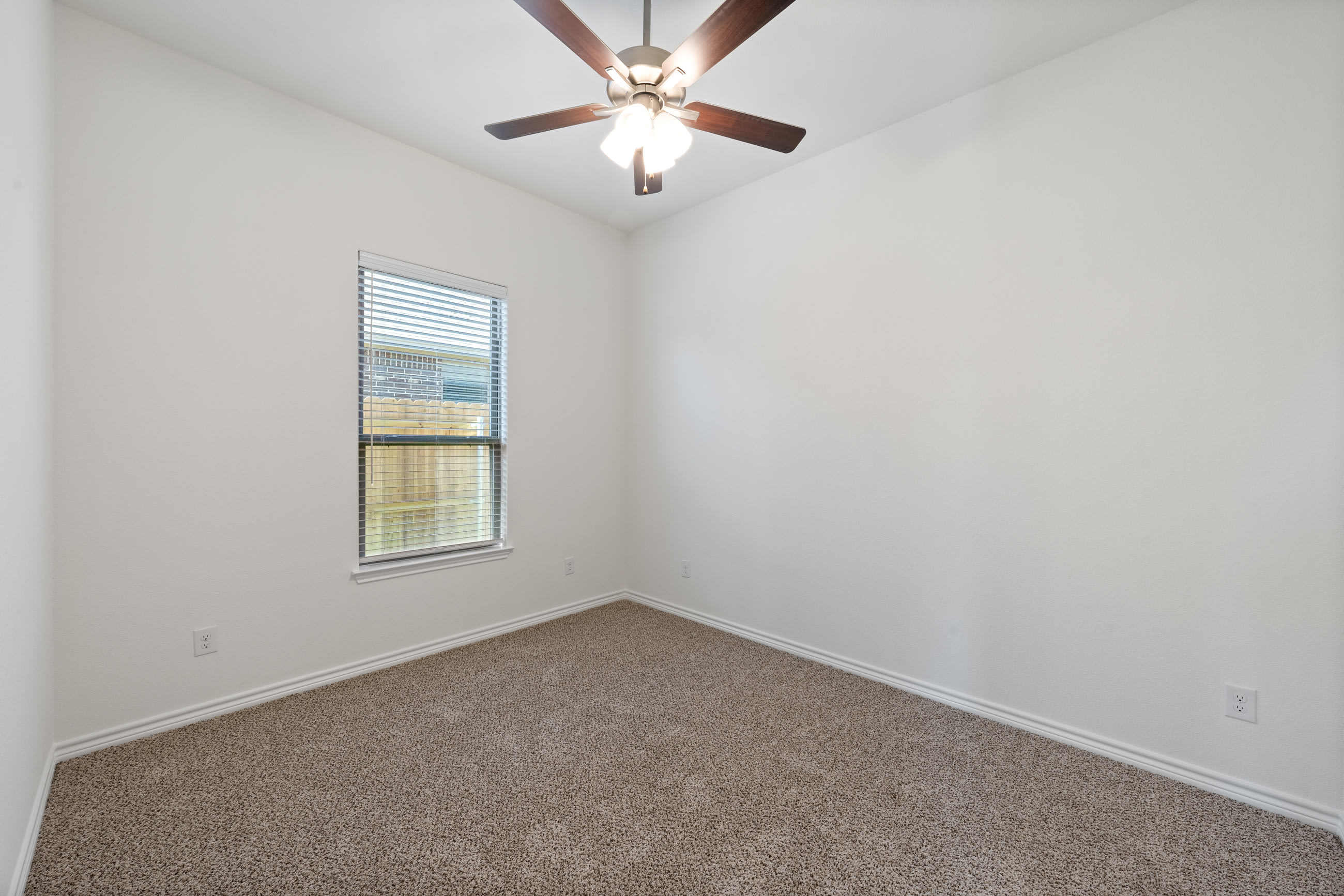 7308 Caladium Drive – photo 5