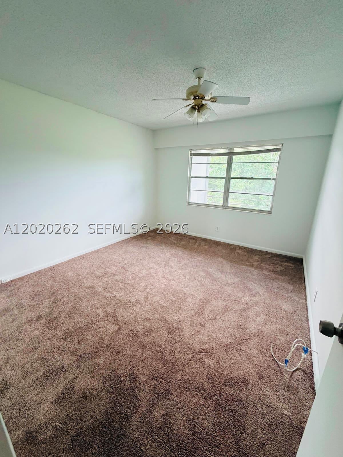 335 Brighton H – photo 5