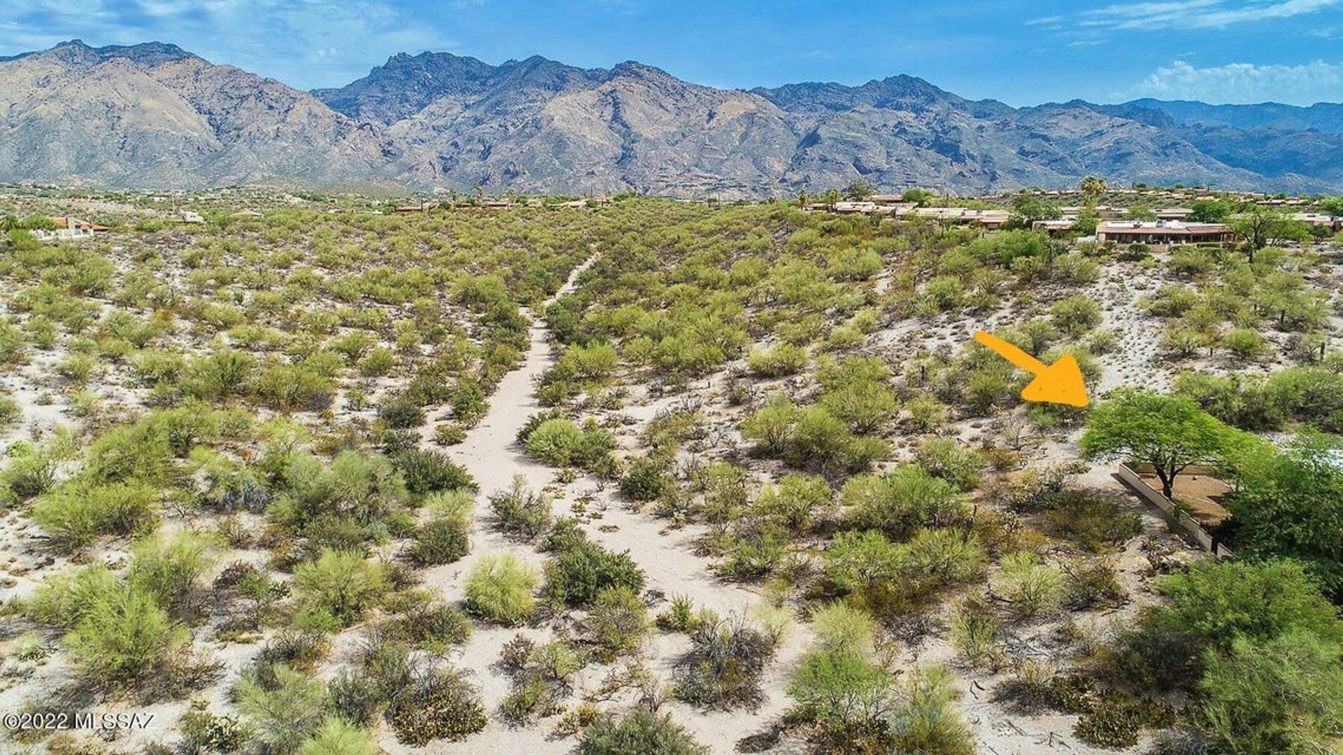 Foothills updated Home – photo 2