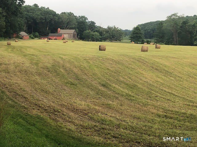 90 Duck Hole Road – photo 3
