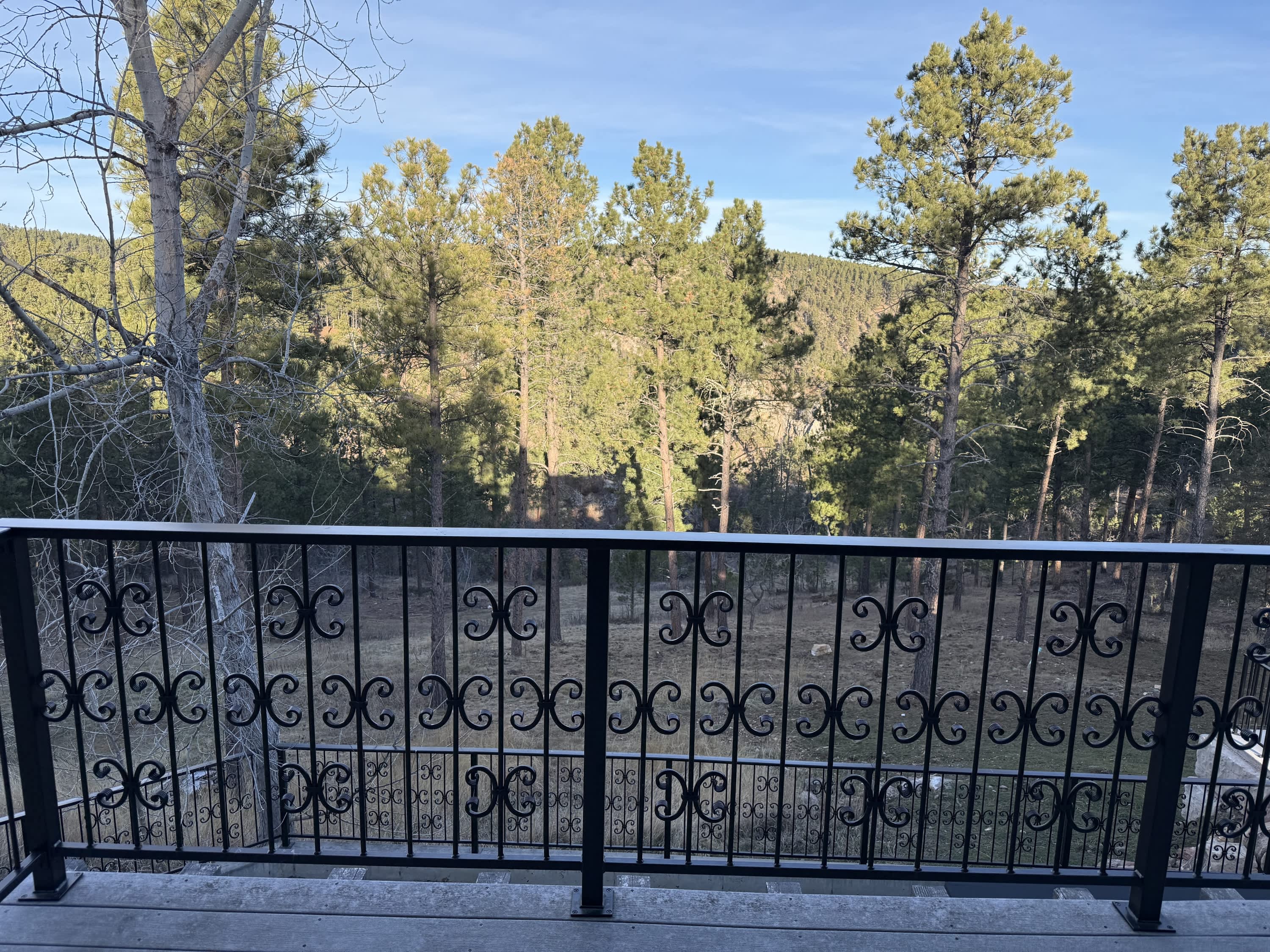 13646 Twisted Pines Trail – photo 3