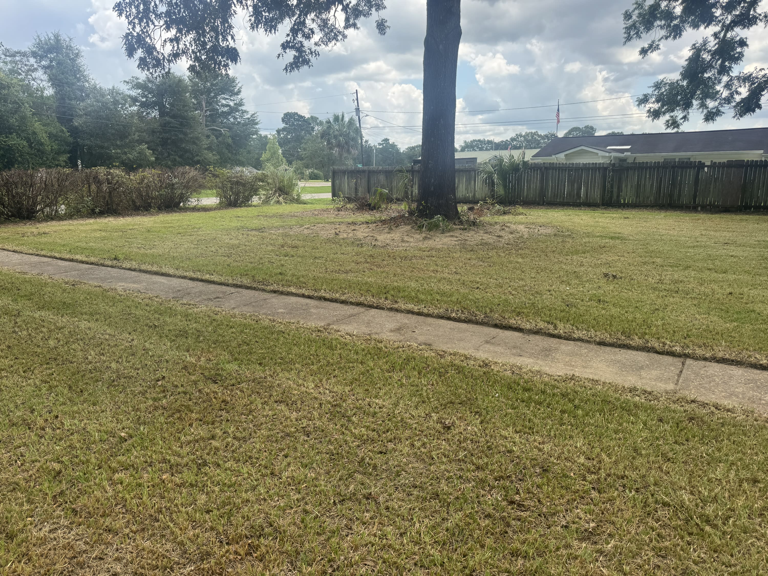 282 Central Street – photo 5