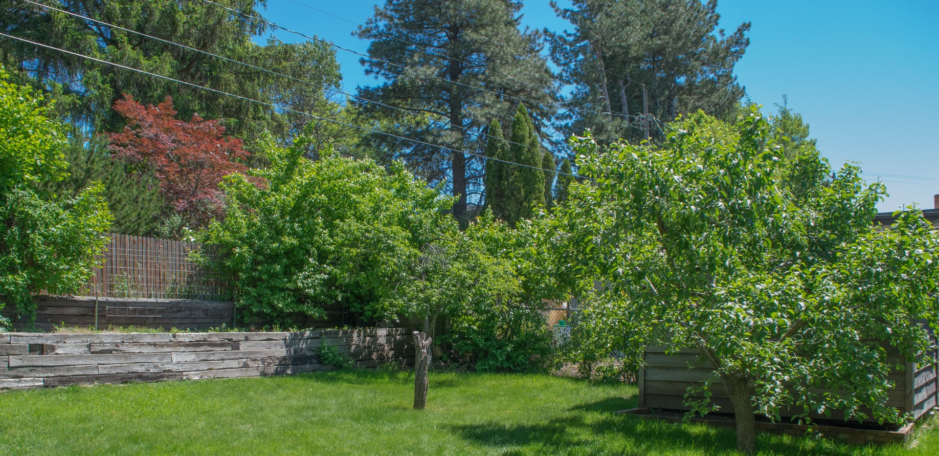 4 Bed, 2 bath on Military Hill! – photo 2