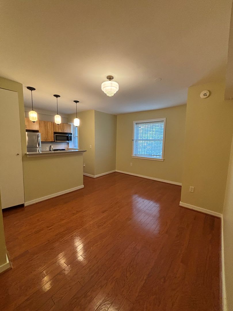 Recently Renovated 1 bedroom apartment in Columbia Heights – photo 1