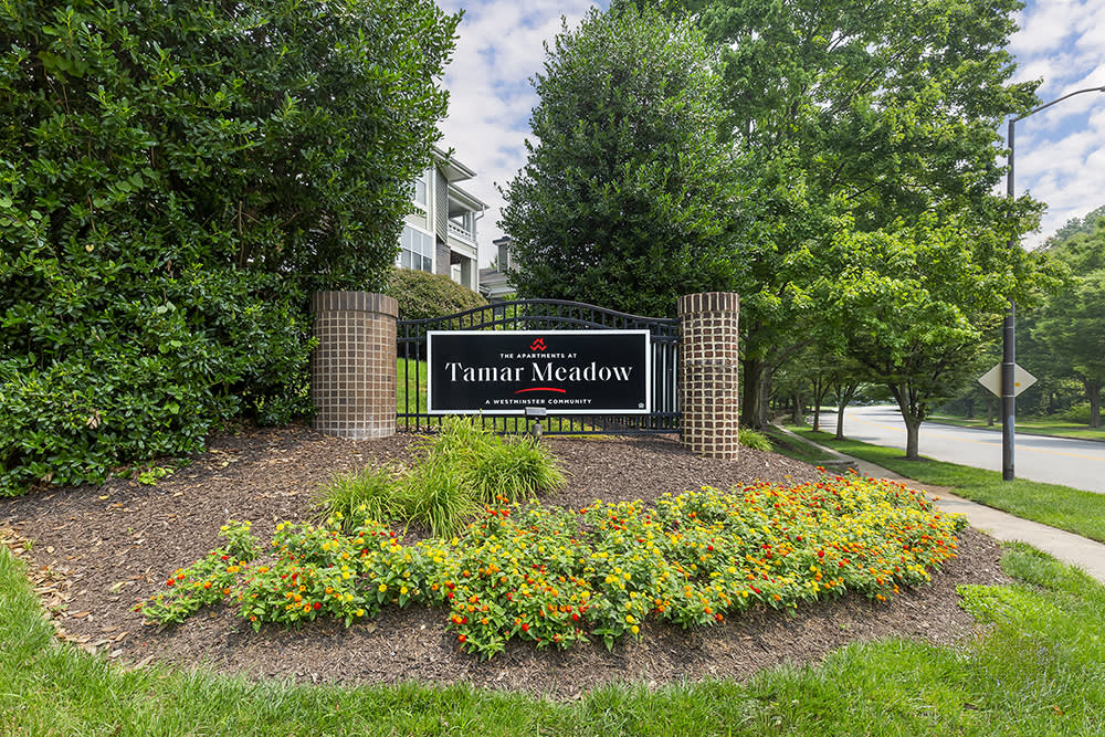 Tamar Meadow Apartments – photo 4