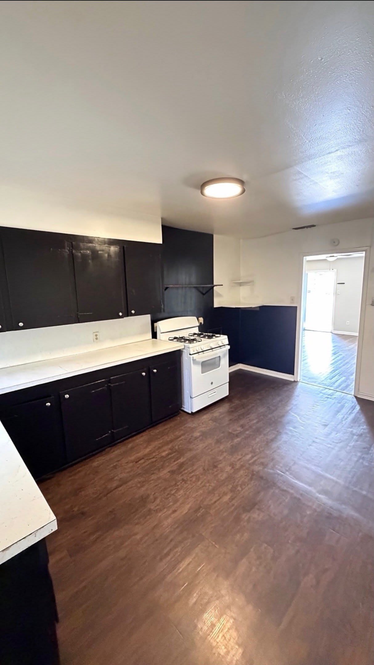 1941 N Mockingbird Lane – photo 3