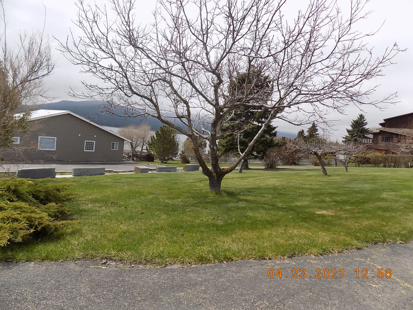 Lake Front Property With Orchard Desired Lease October 1St 2026 Thru May 31St 2027 Some Flexibility In Dates – photo 3