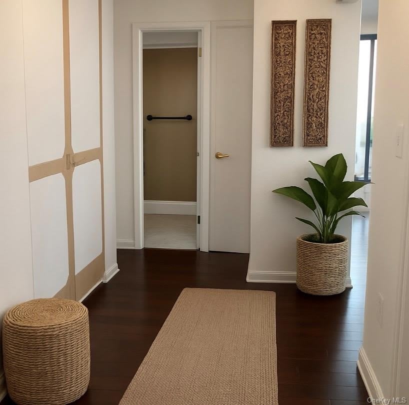 7 Essex Lane – photo 3