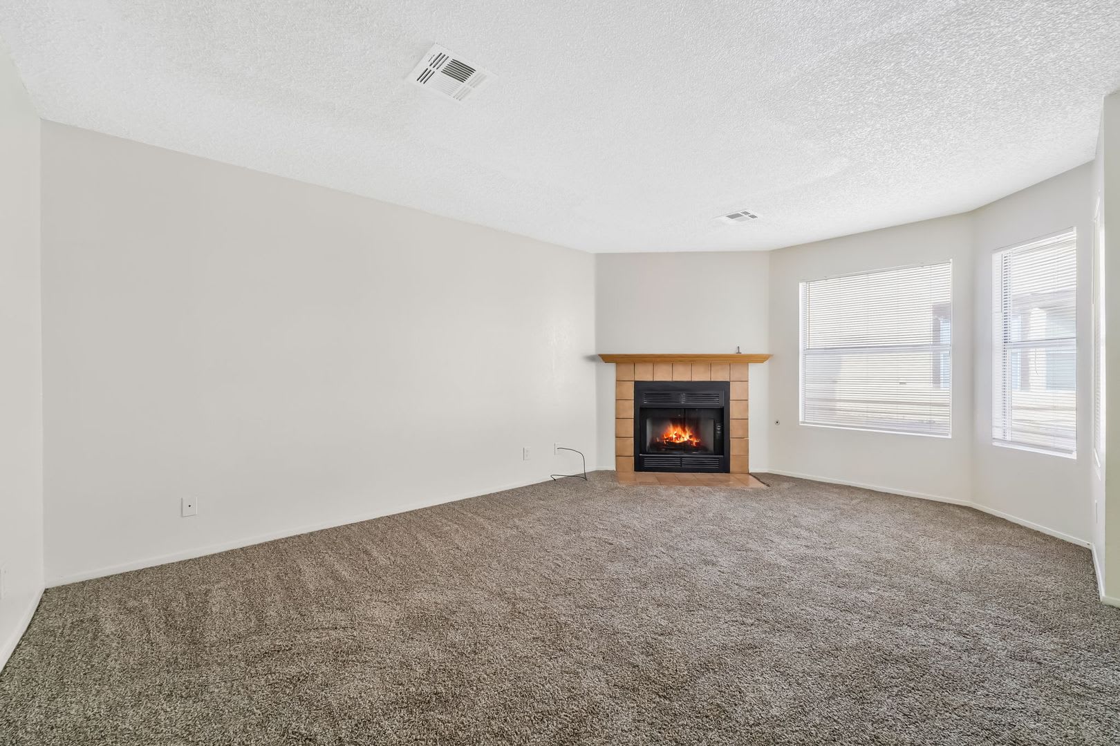 Cute 2 Bedroom Condo – photo 4