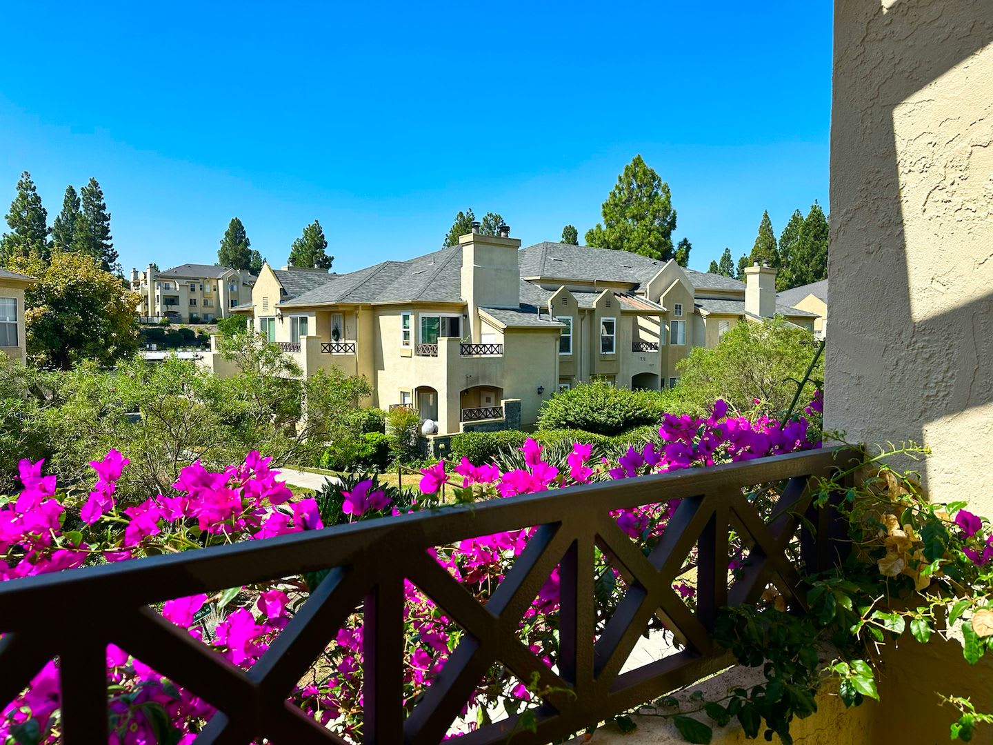 Lovely Spacious Eastlake Condo – photo 5