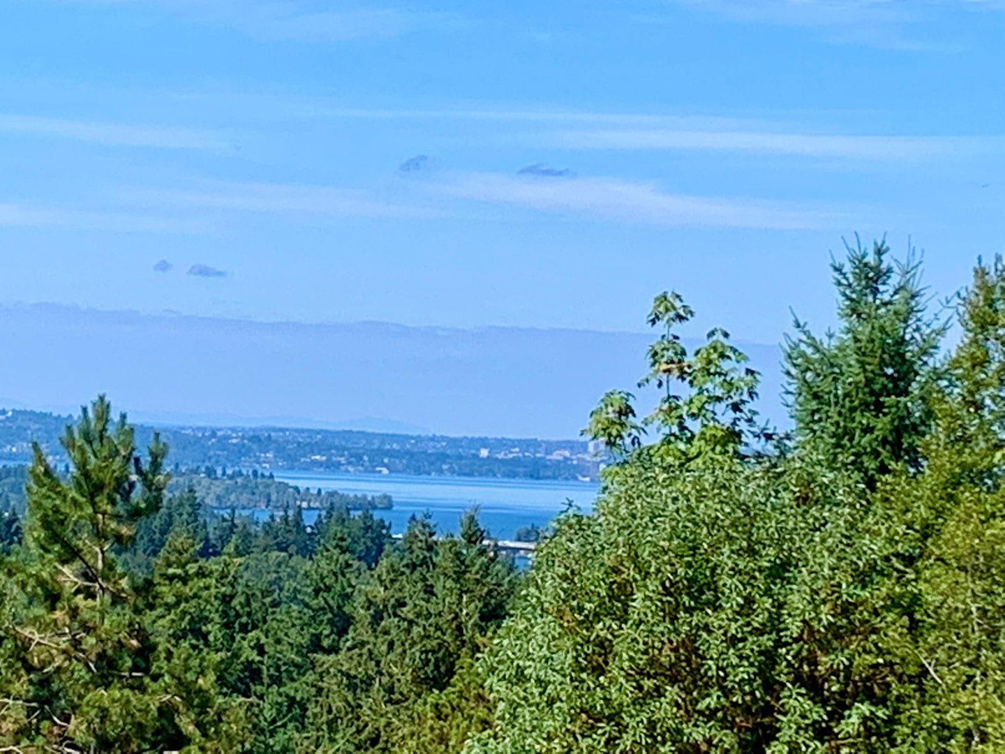 Bellevue/Somerset Home – photo 5
