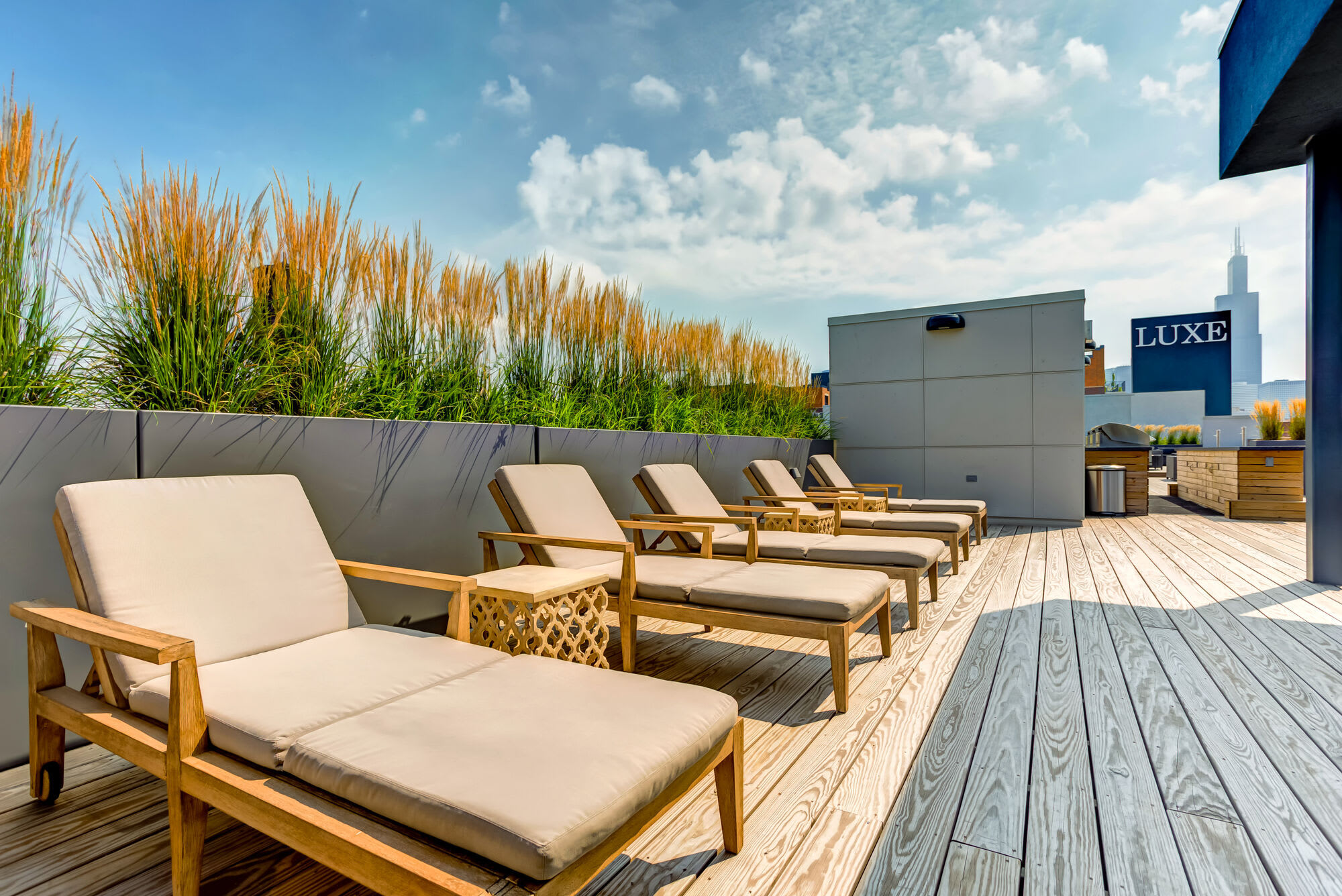 Luxe on Madison – photo 4