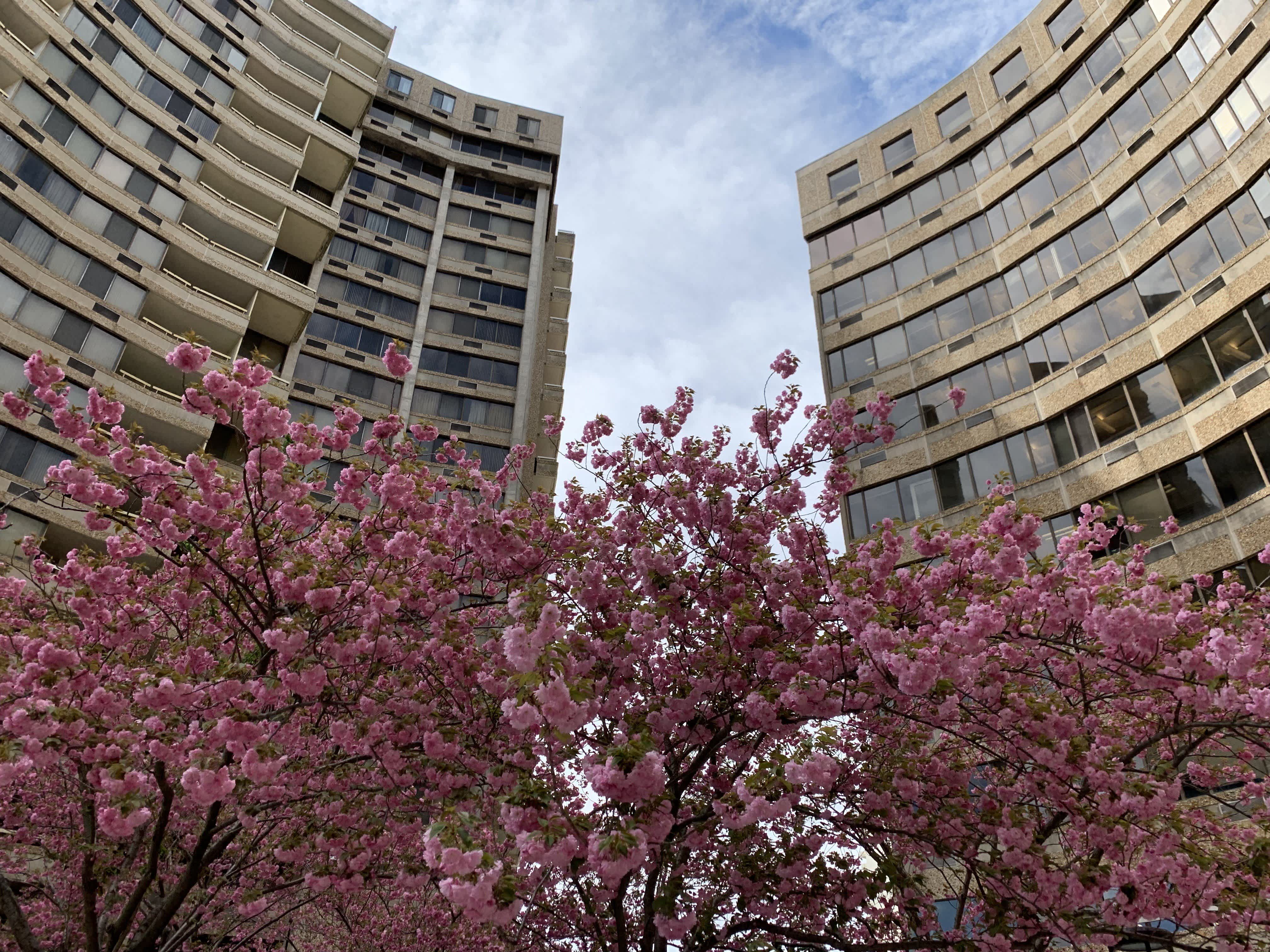 Hampton Plaza – photo 1