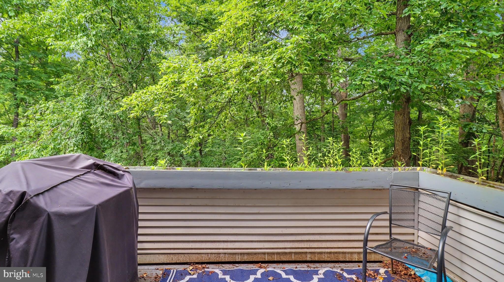 10225 COVE LEDGE Court – photo 5