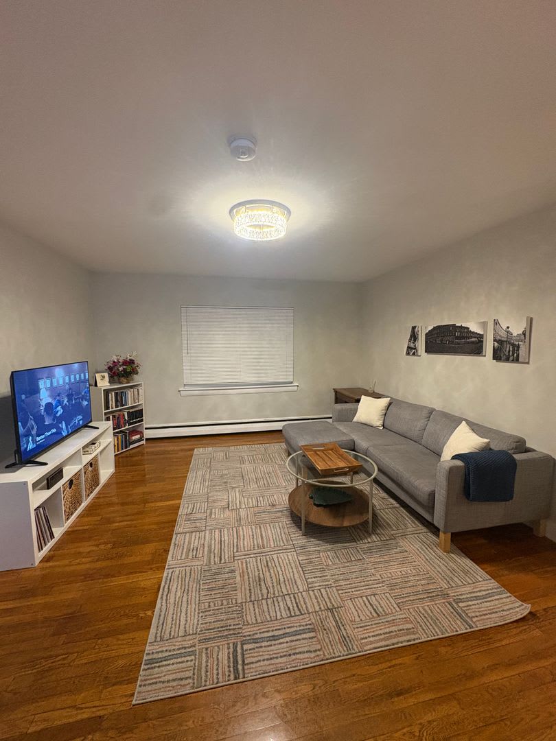 See YT Video! No Fee! Huge & Sunny Apt near Ts & Cleveland Cirlce. Cat Friendly – photo 5