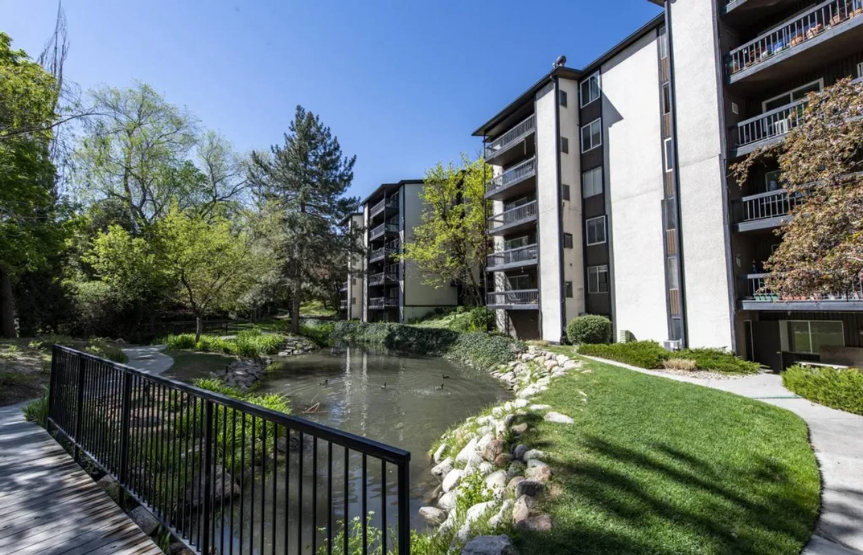 2 bedroom apartment for rent! 1/2 off first month rent – photo 2