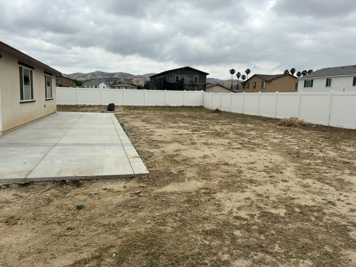 Spacious 4-Bedroom Single-Story Home with Large Backyard – photo 5