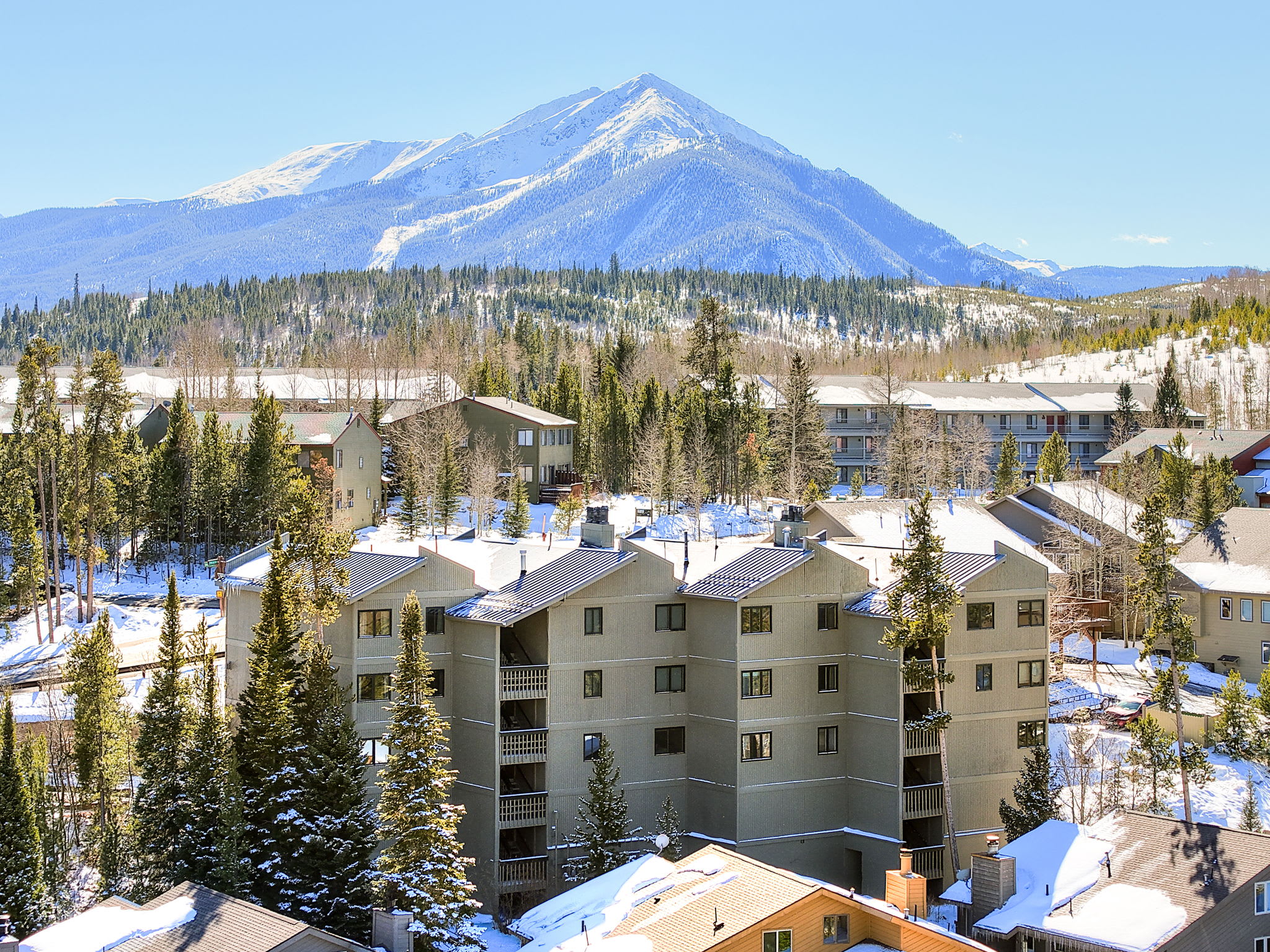 3710 Ryan Gulch Road – photo 2