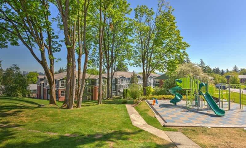Shorewood – photo 3