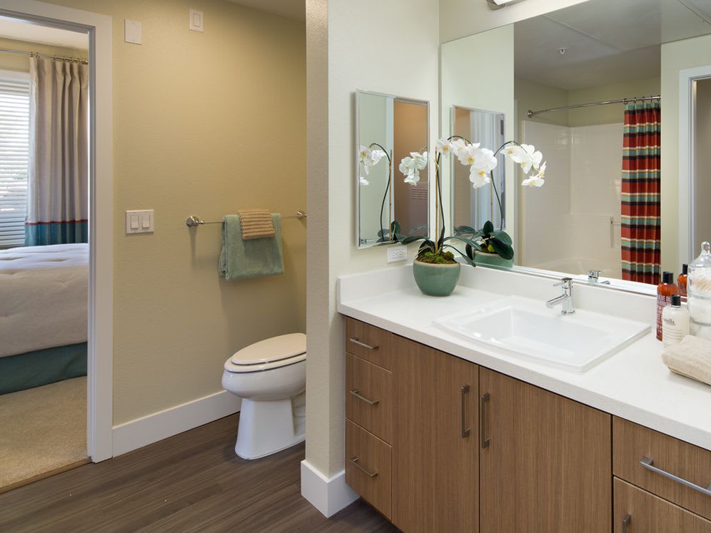 Avalon Vista – photo 3