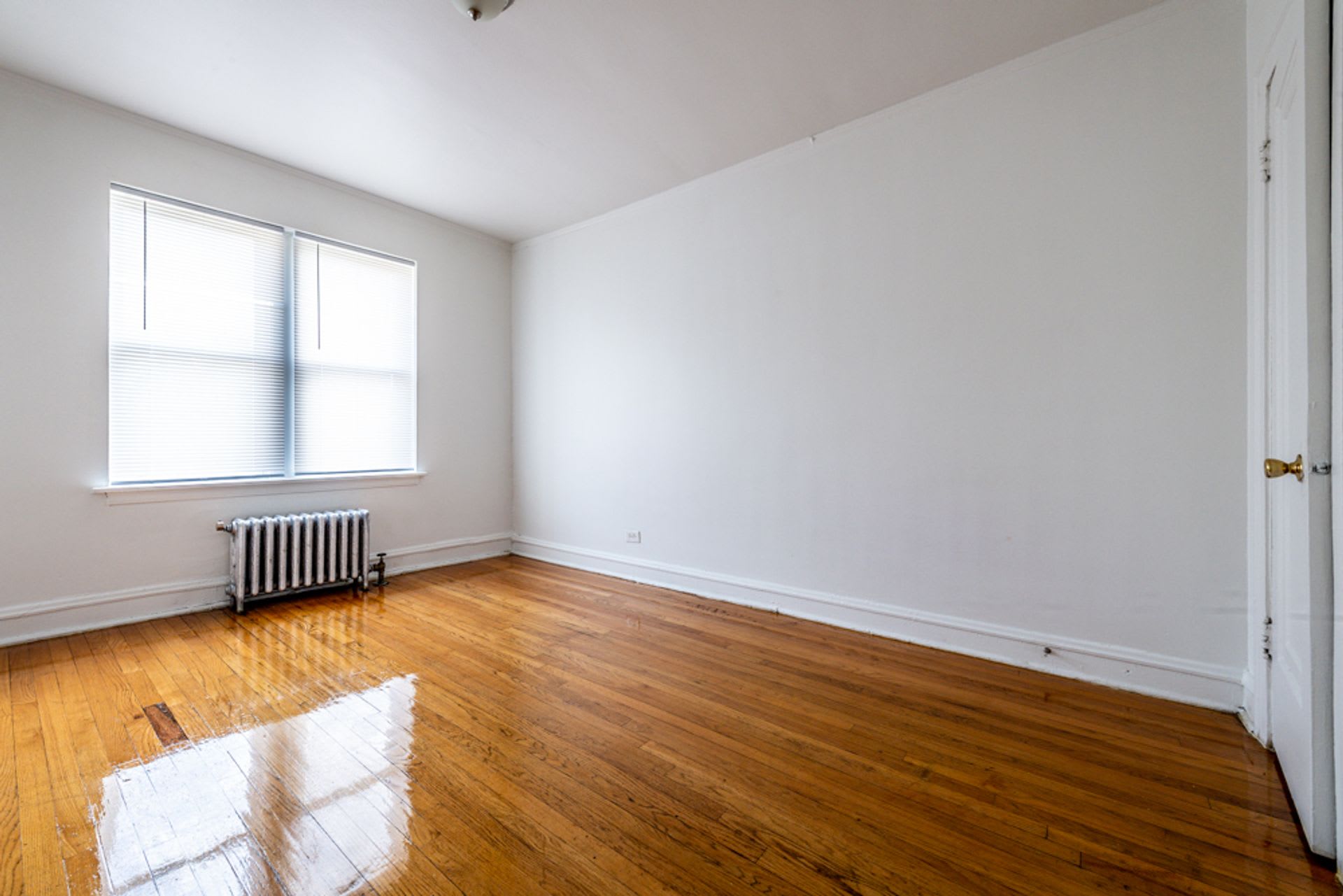 654 N Pine Ave – photo 5