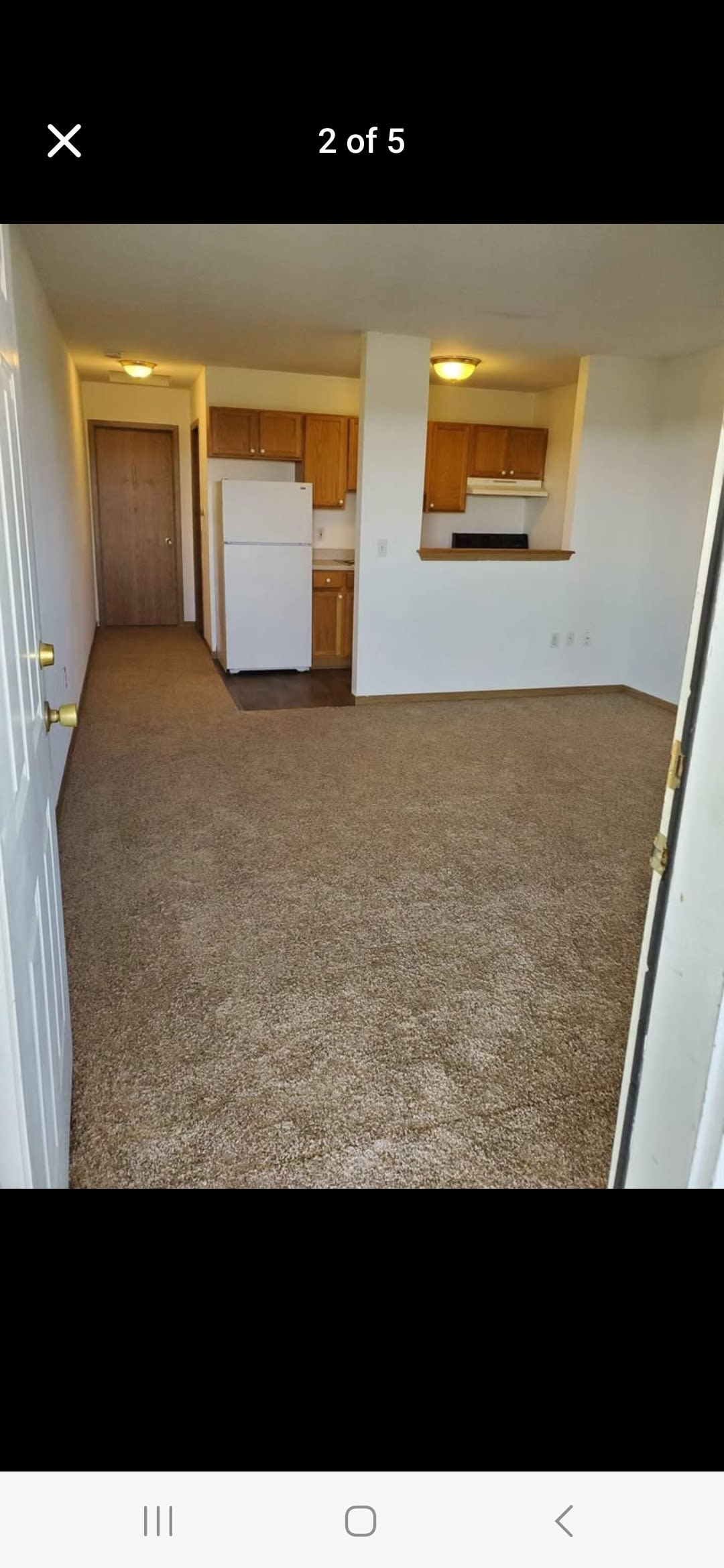 1422 Irish Drive Apt 4 – photo 5