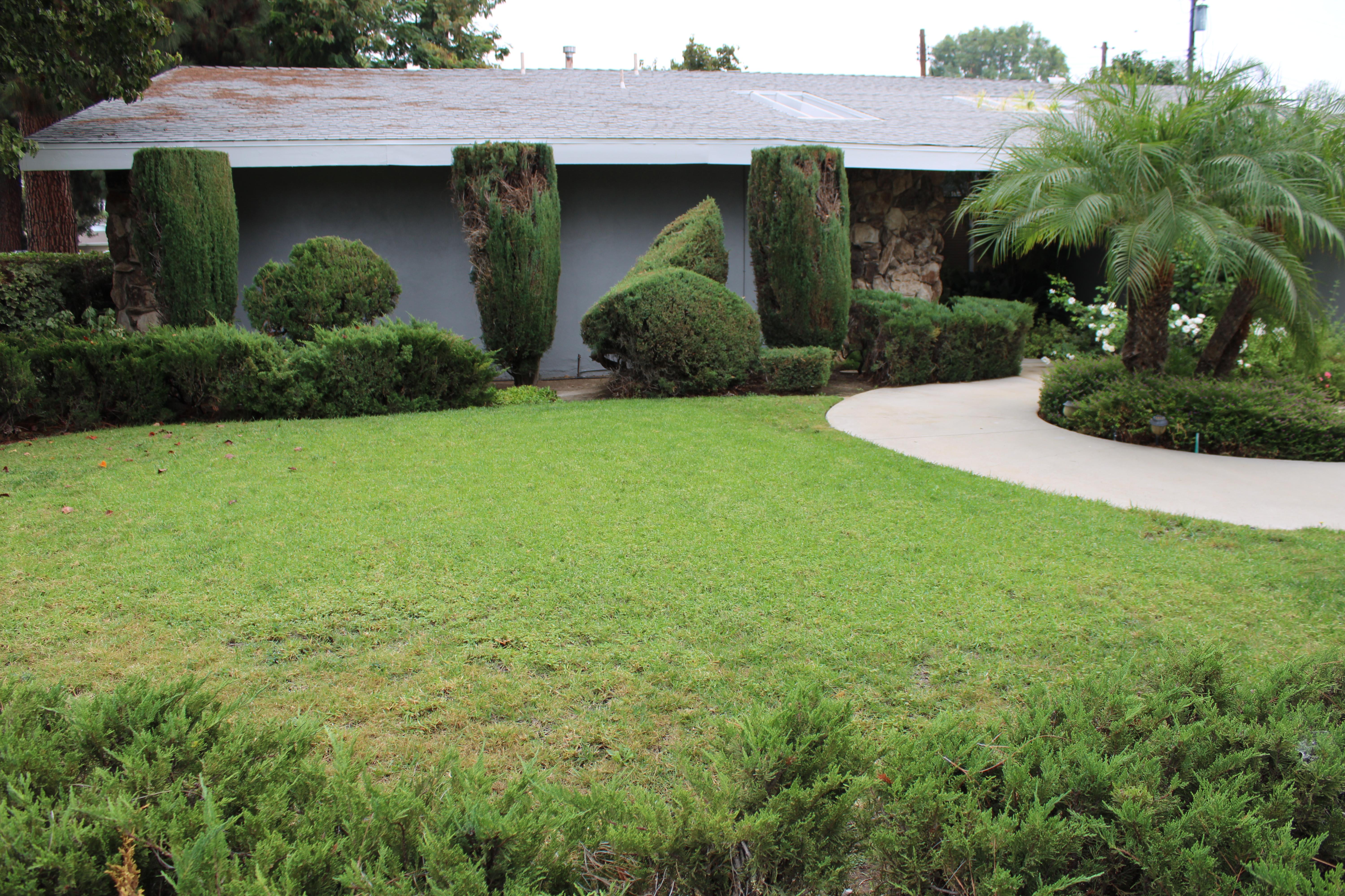 9642 Yolanda Ave – photo 3