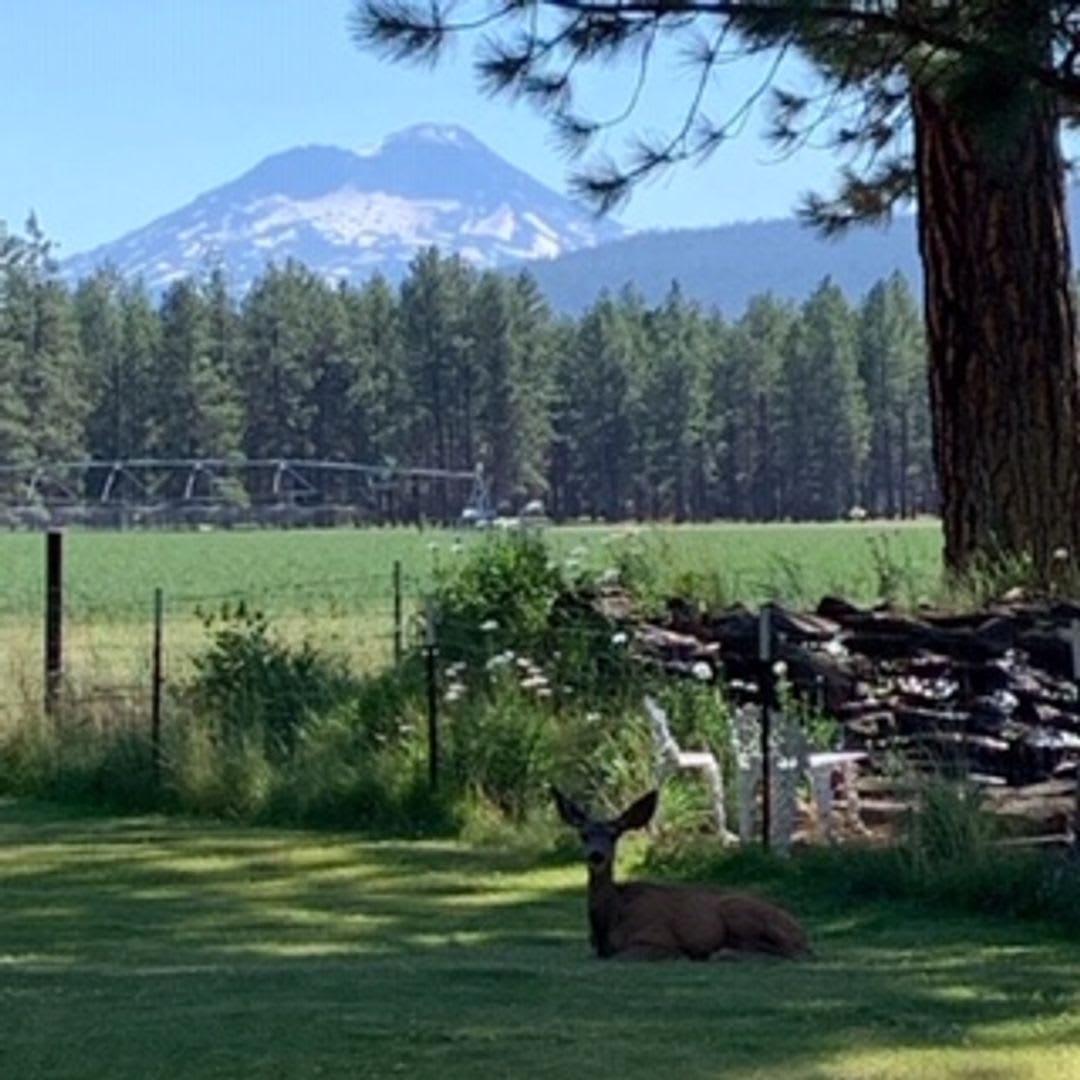Live in Beautiful Sisters Oregon for the Winter – photo 2