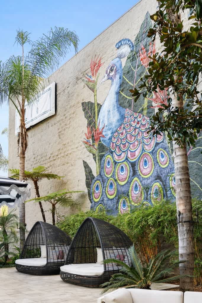 Vera Cortez Hill – photo 4