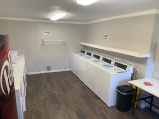 Madeira Apartments – photo 5
