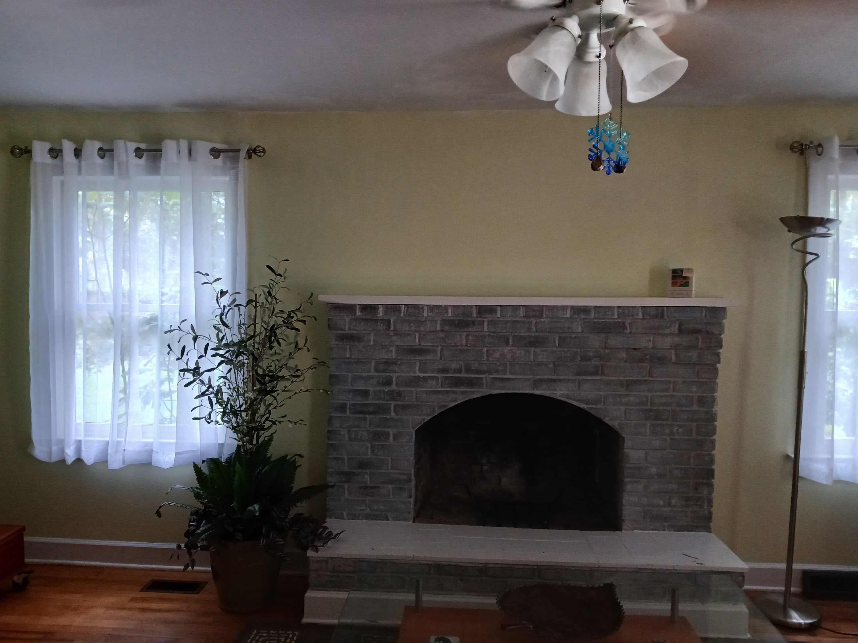 2403 Pine Haven Street – photo 3