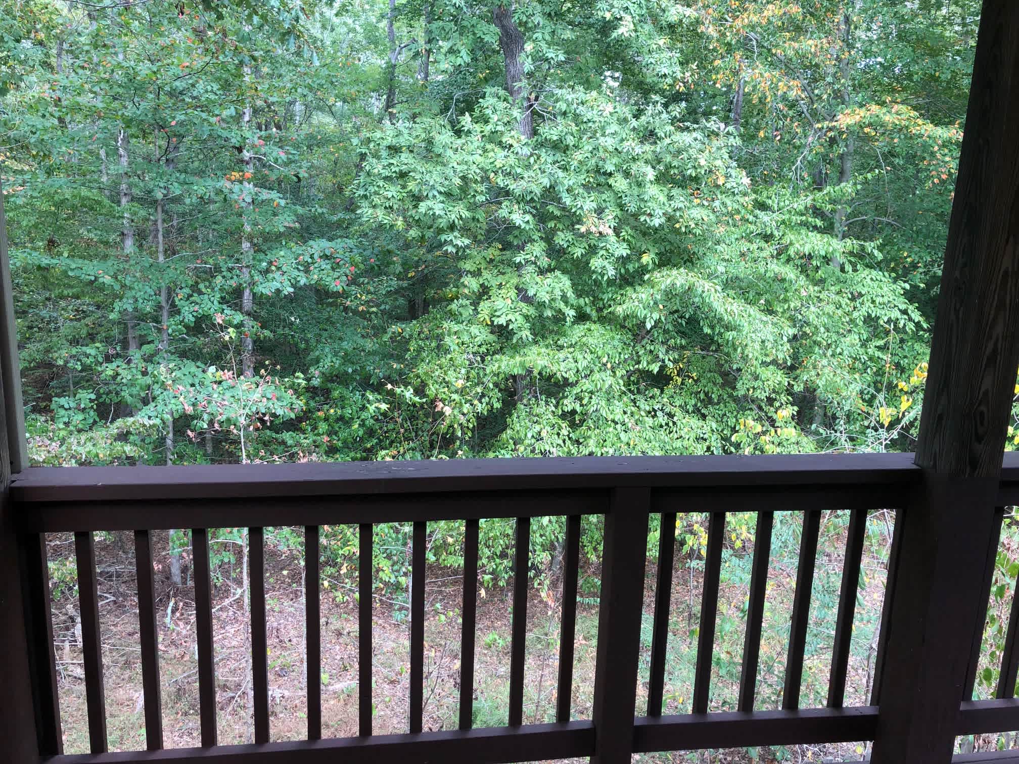 83 Kestrel Ct – photo 2
