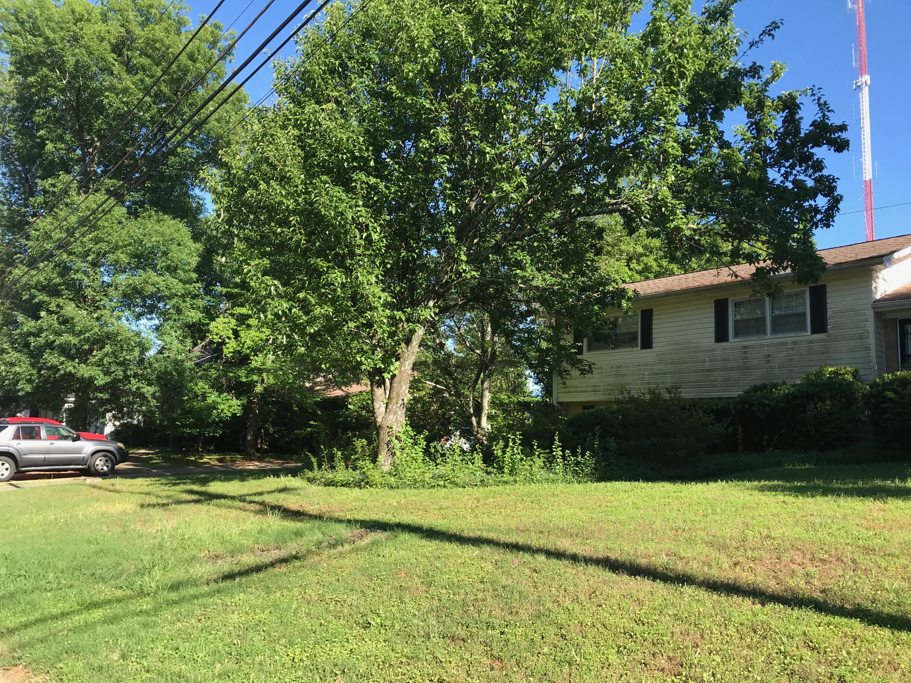 2320 Mountain Oaks Ln – photo 1