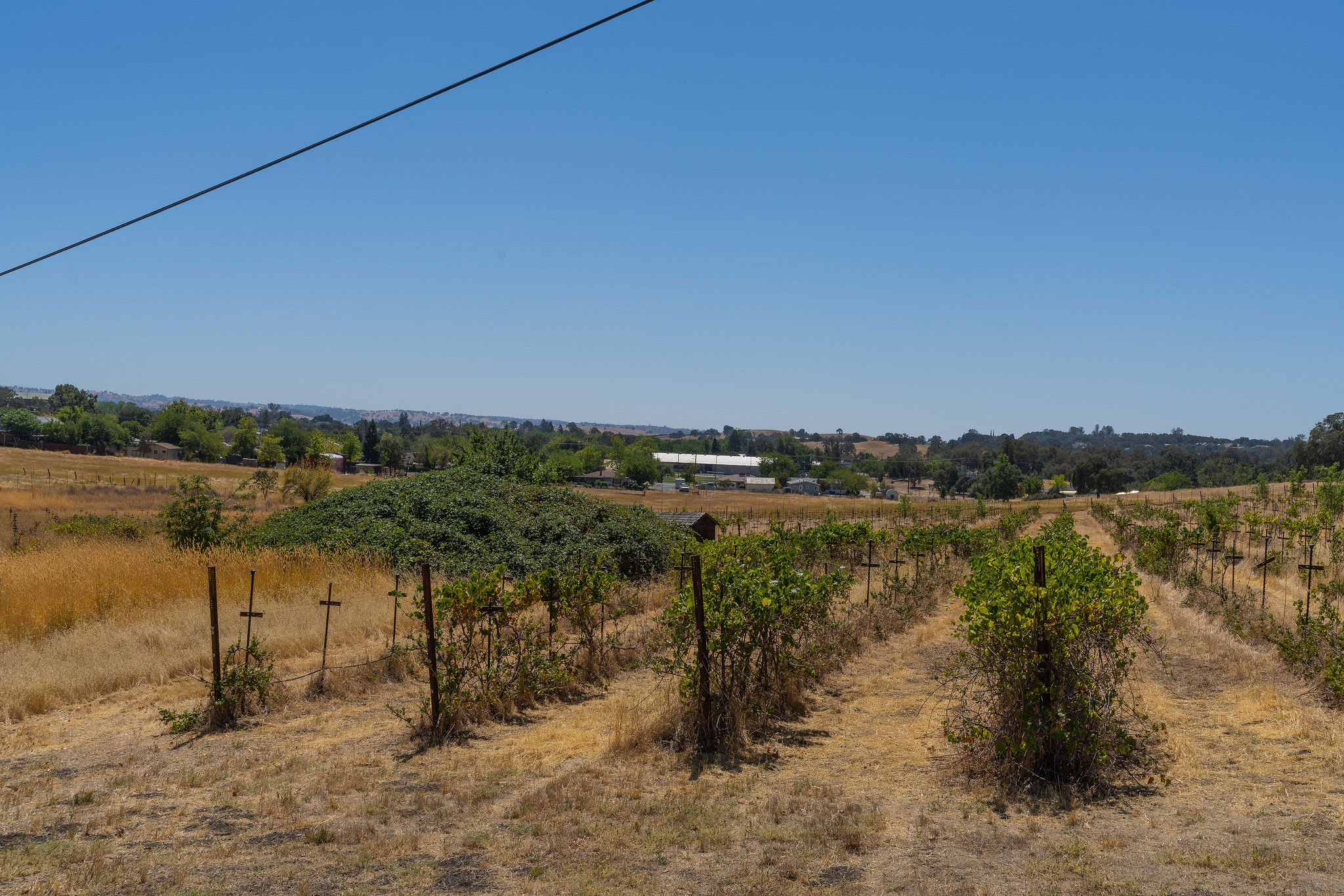 9079 Miller Way – photo 3