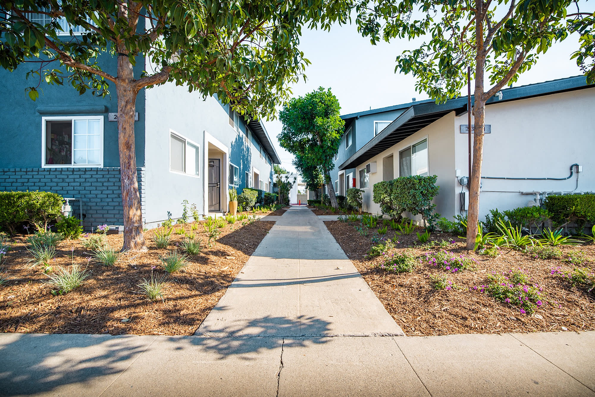 Orange Grove Townhomes – photo 3