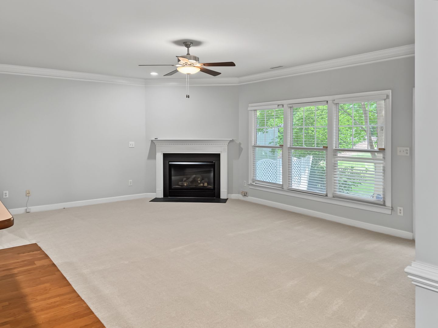 Brand New Carpet – photo 4