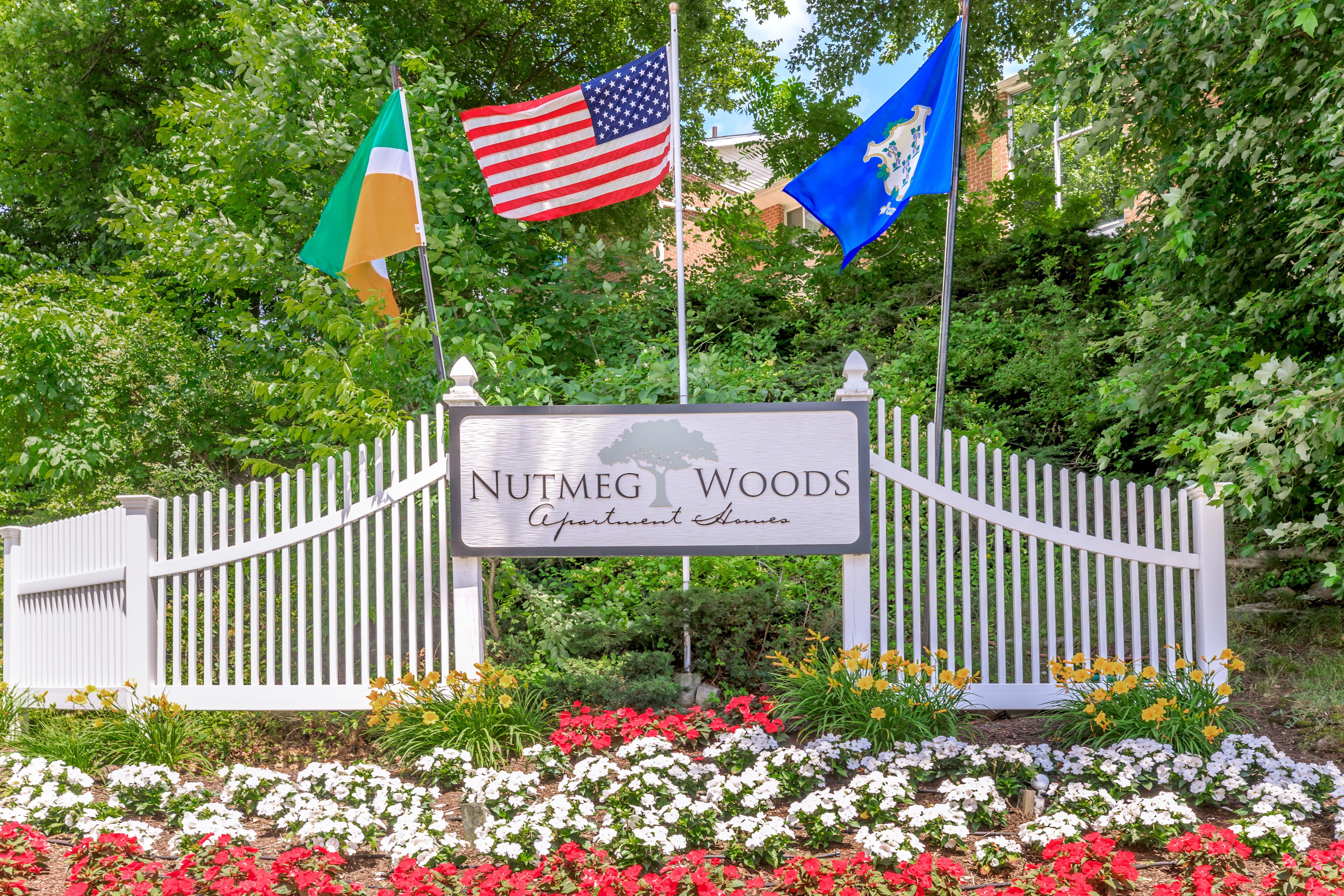 Nutmeg Woods – photo 3