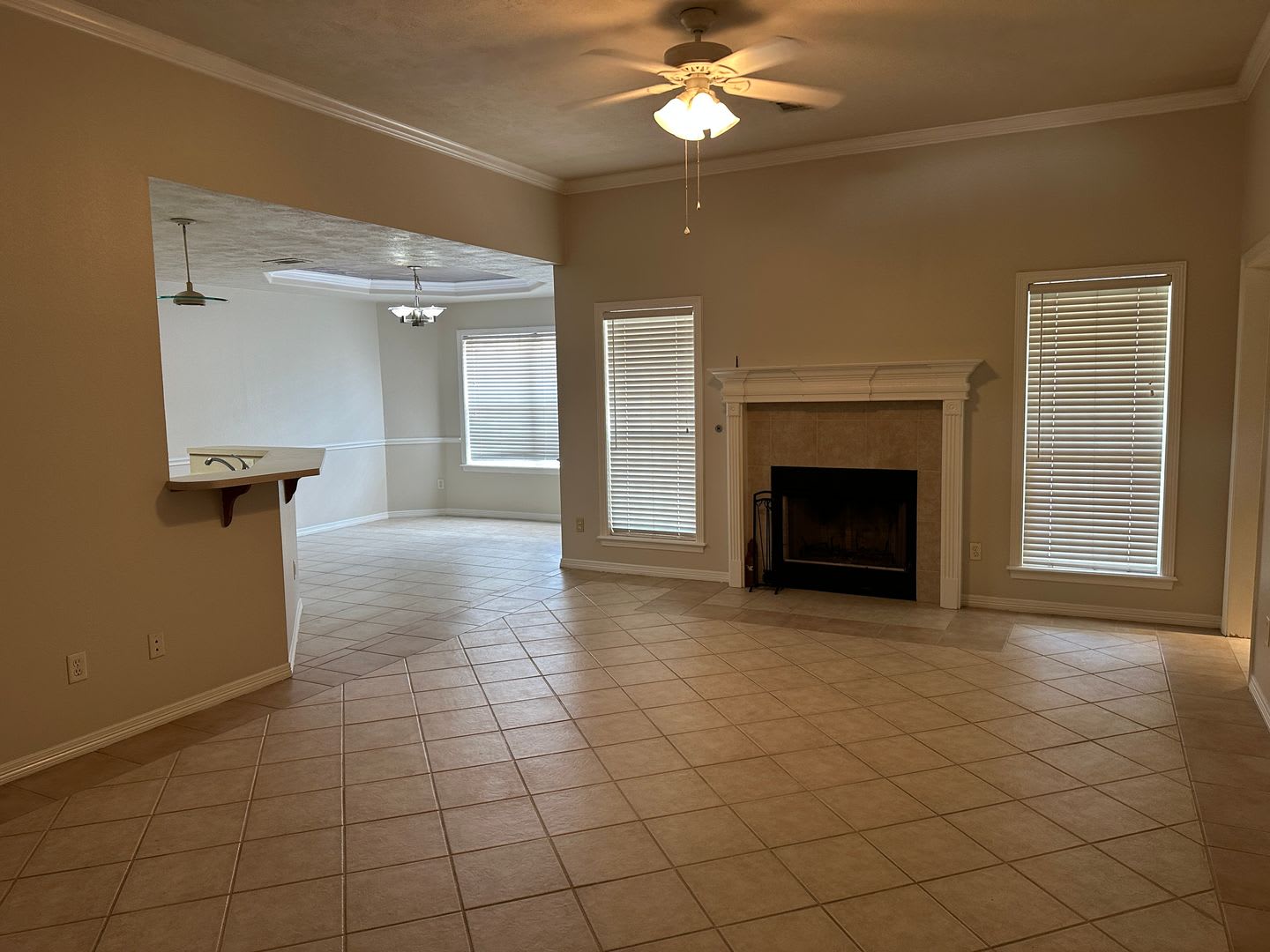 College Station -3 bedroom / 2 bath / 2 car garage / fenced in back yard. IN EDELWEISS GARTENS – photo 5