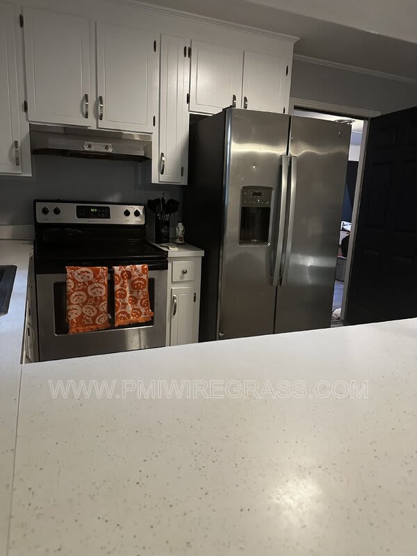 203 Meadowbrook Drive – photo 4
