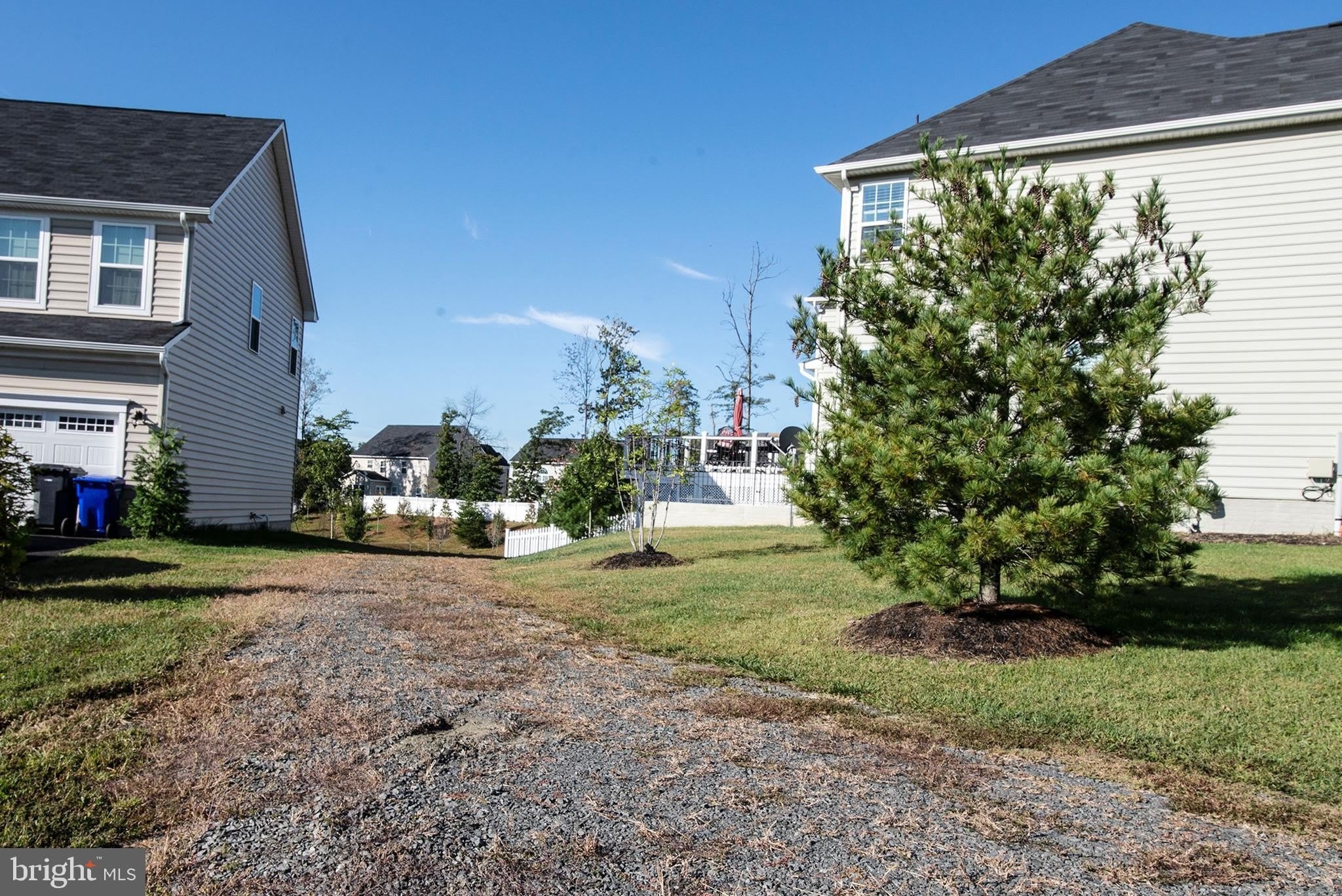 12908 Hoadly Manor Drive – photo 2