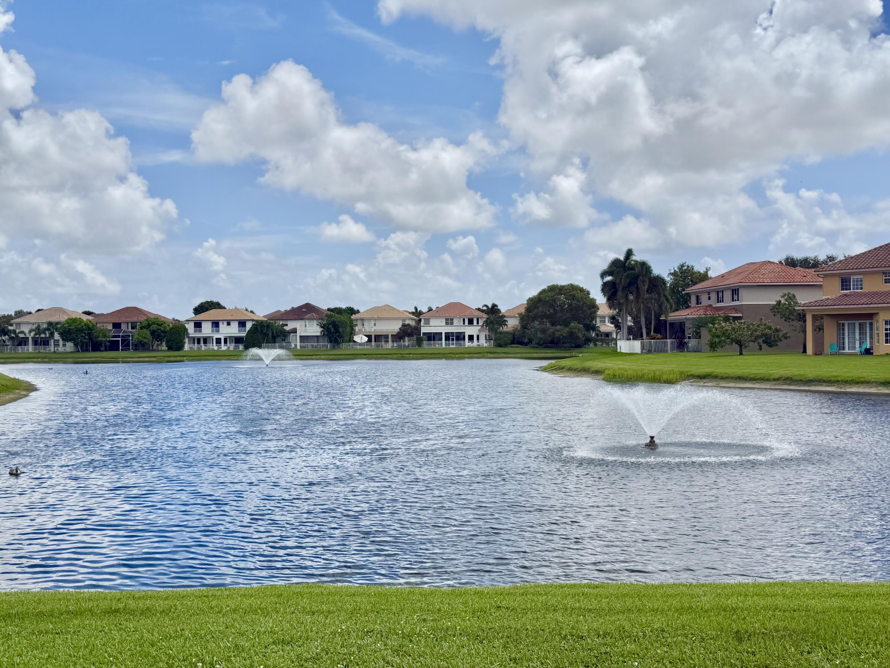 9656 Cobblestone Creek Drive – photo 3
