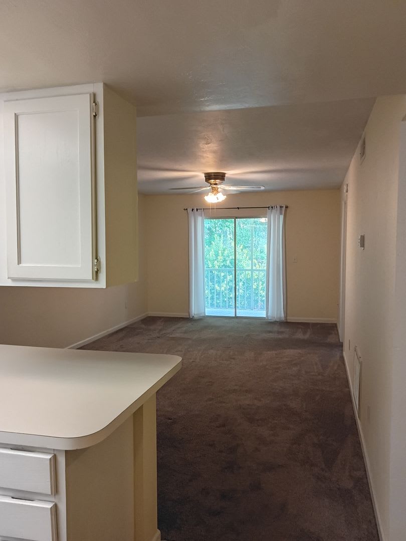 Unit 606 at Tradewinds II – photo 1